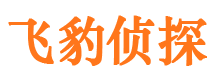 江安侦探公司